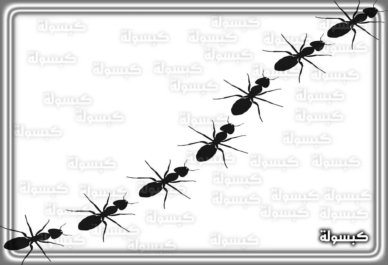 دلالات رؤية النمل والصراصير في المنزل