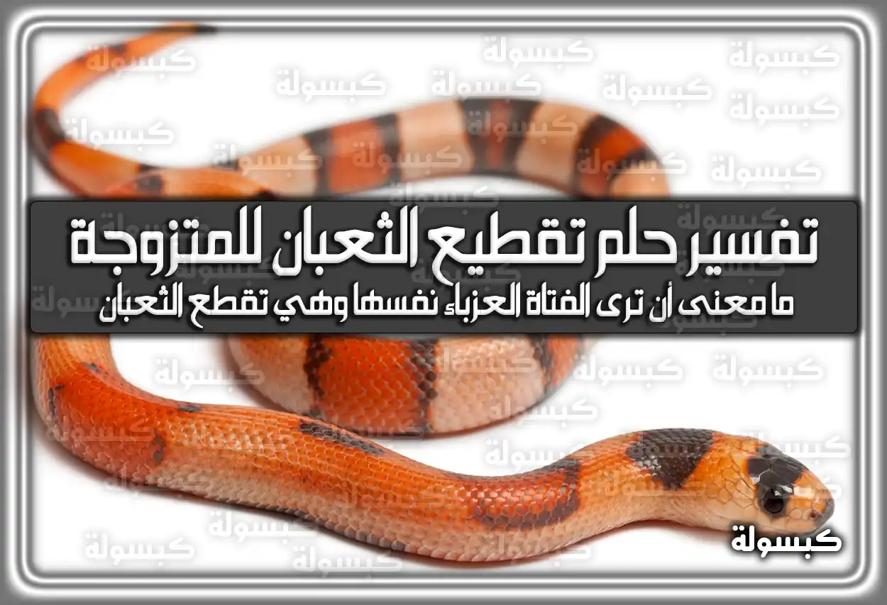 تفسير حلم رؤية تقطيع الثعبان للمتزوجة في المنام