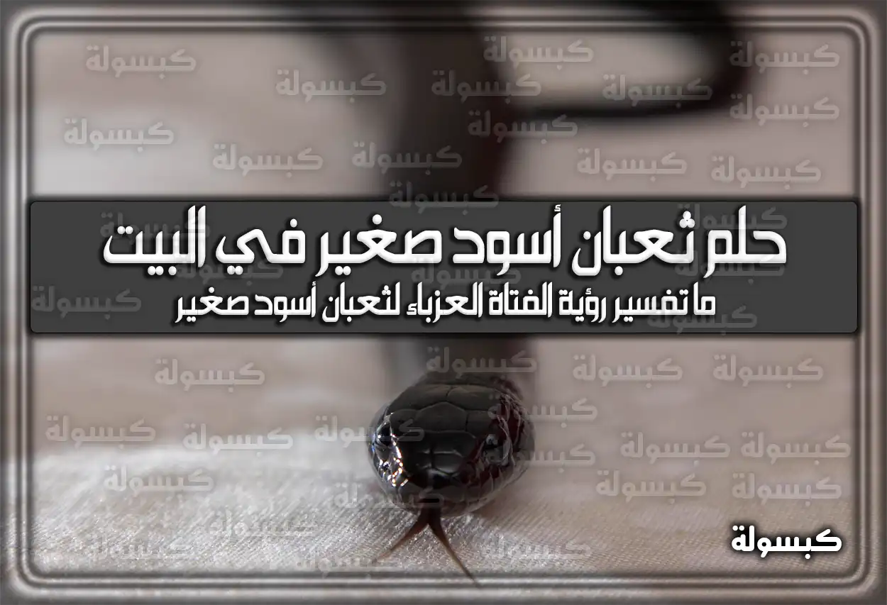 تفسير حلم رؤية ثعبان أسود صغير في البيت في المنام