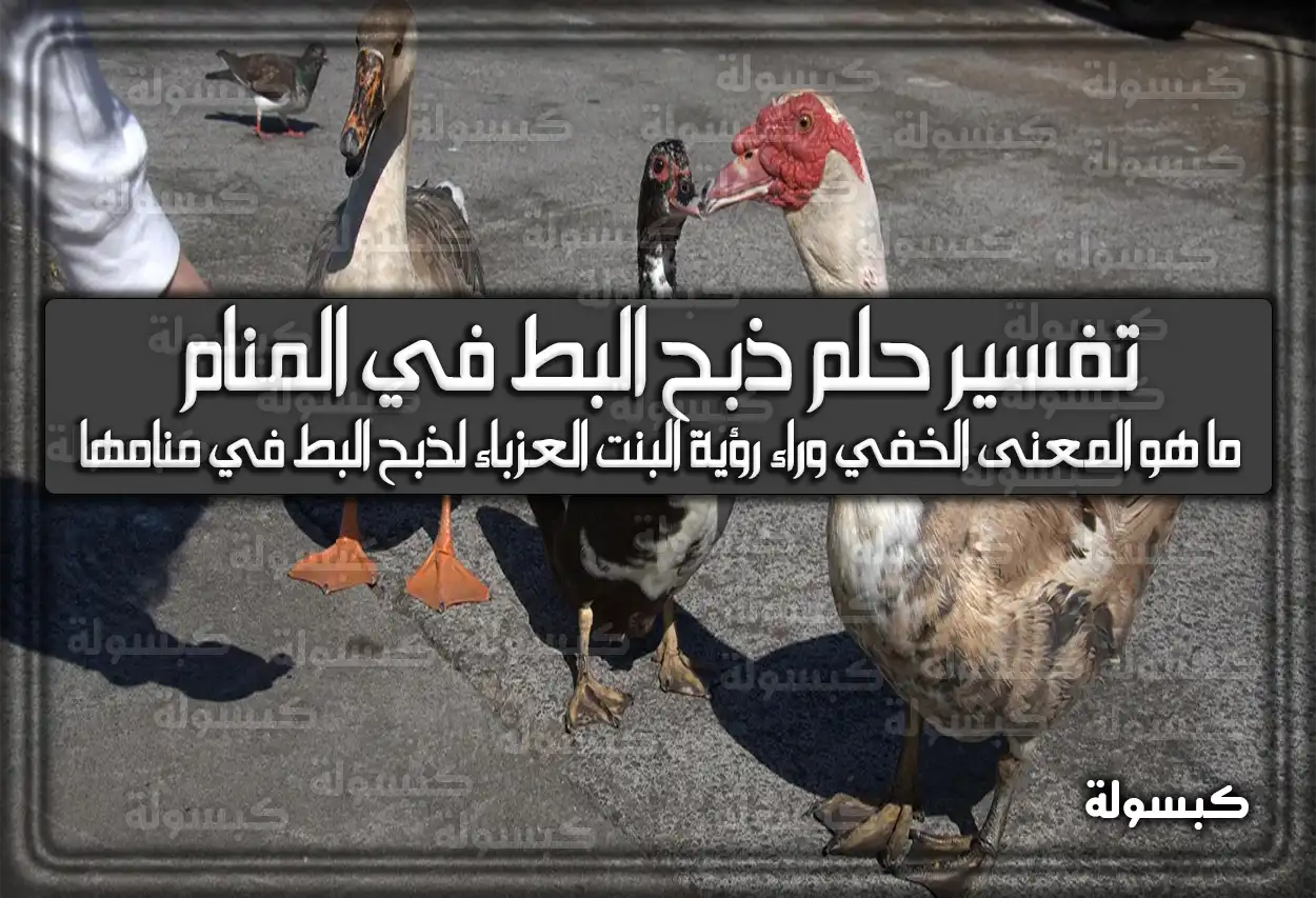 تفسير حلم رؤية ذبح البط في المنام.. خطوبة وفقر