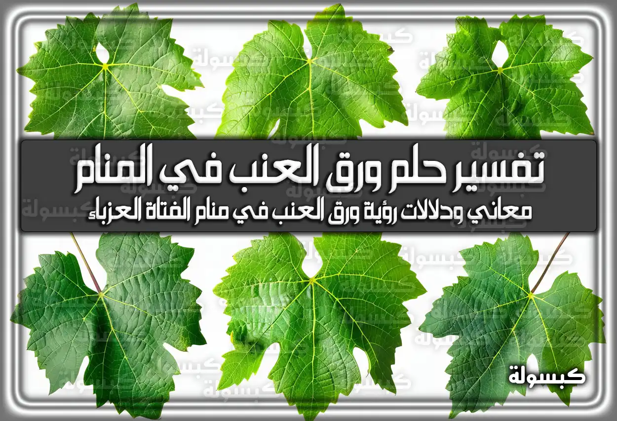 تفسير حلم رؤية ورق العنب في المنام للعزباء والمتزوجة