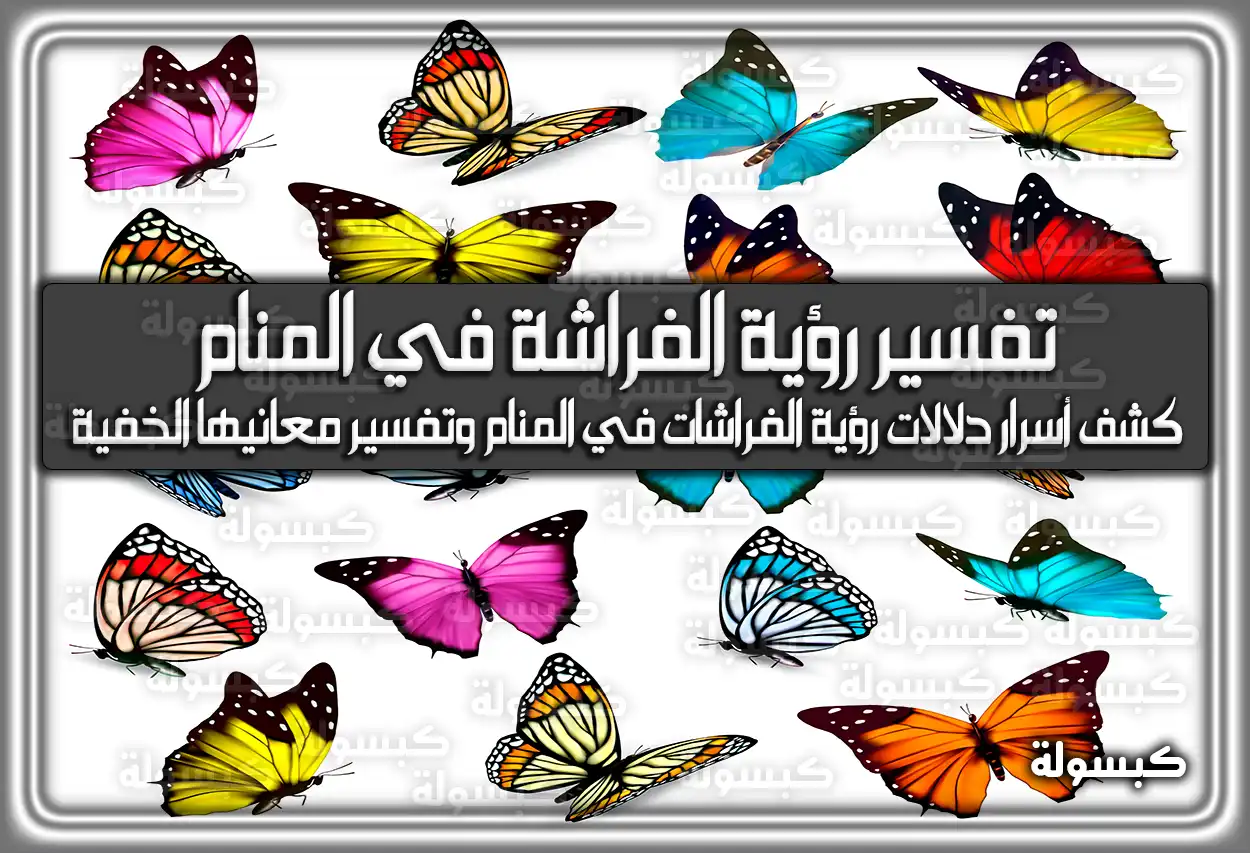 تفسير رؤية الفراشة في المنام