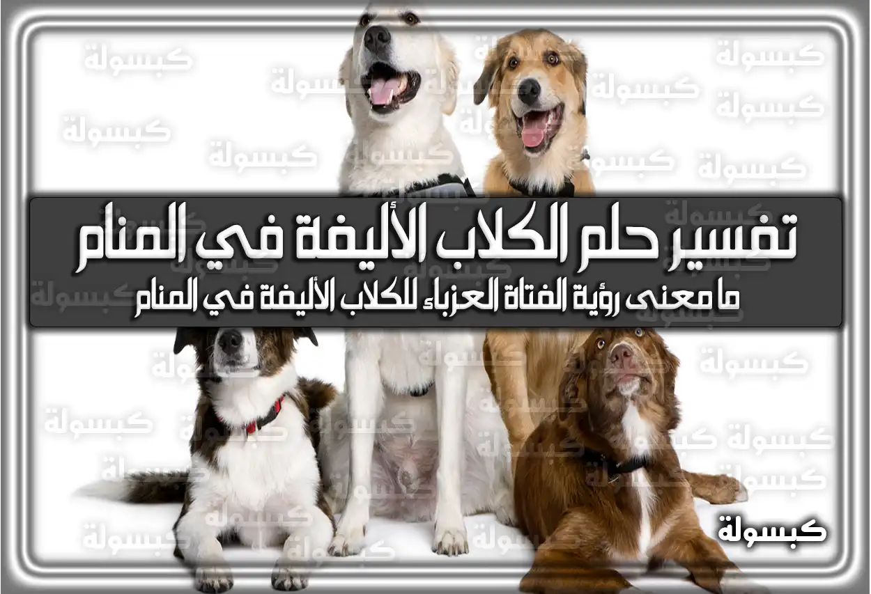 تفسير رؤية حلم الكلاب الأليفة في المنام