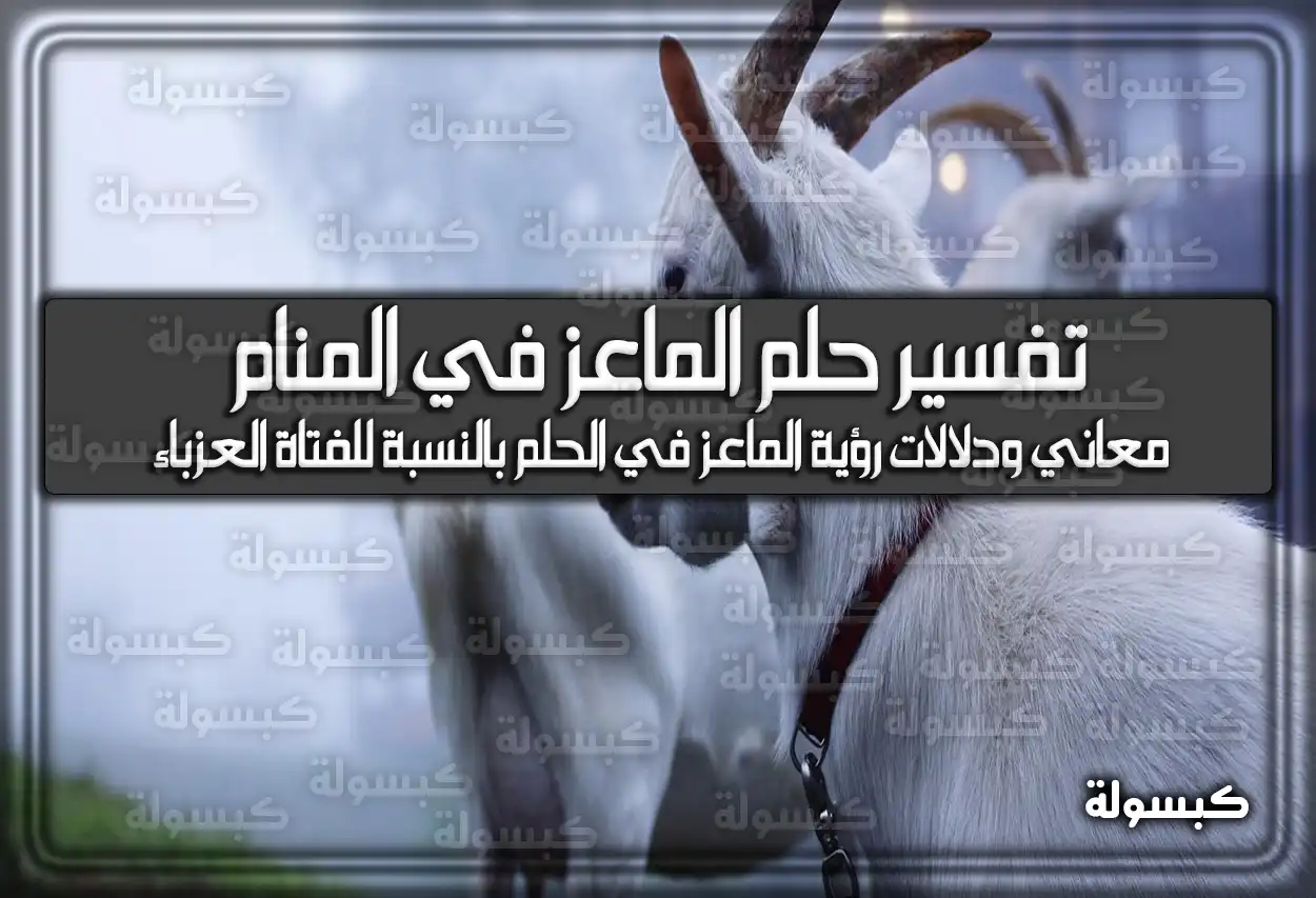 تفسير رؤية حلم الماعز في المنام للعزباء والمتزوجة – دلالات ورمز الماعز الأسود في الحلم