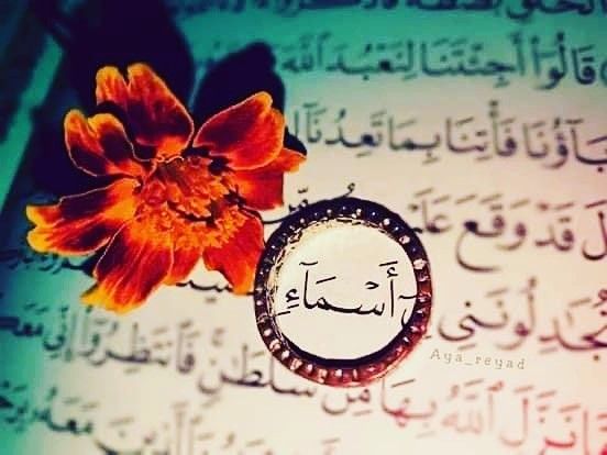 تفسير ظهور الأسماء في الأحلام