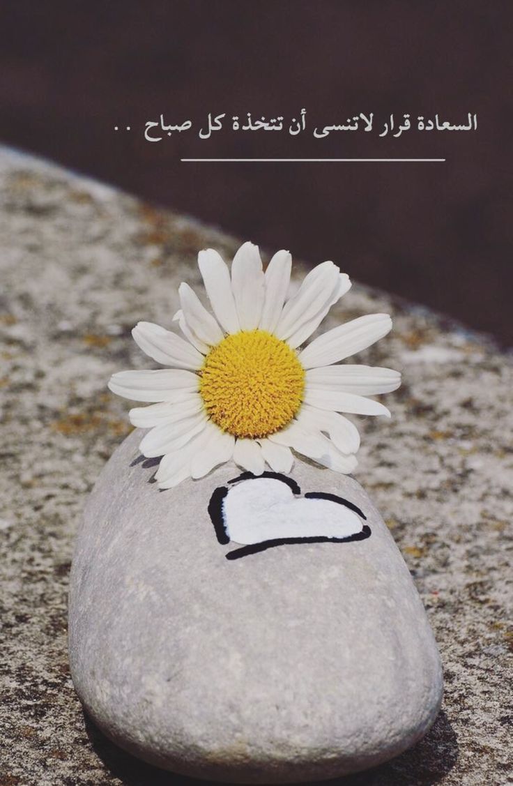 تفسير حلم السعادة في المنام