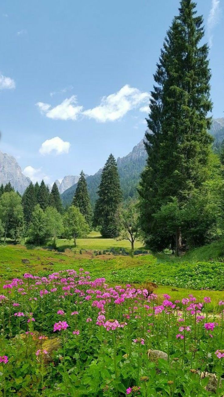 تفسير رؤية البستان في المنام