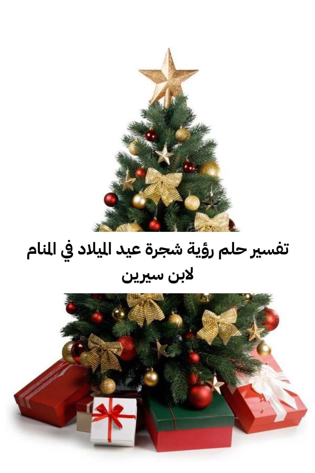 تفسير حلم رؤية شجرة عيد الميلاد في المنام لابن سيرين