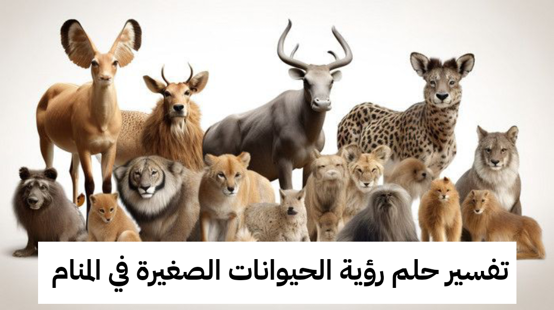 تفسير حلم رؤية الحيوانات الصغيرة في المنام
