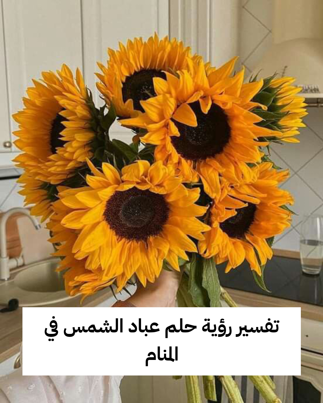 تفسير رؤية حلم عباد الشمس في المنام