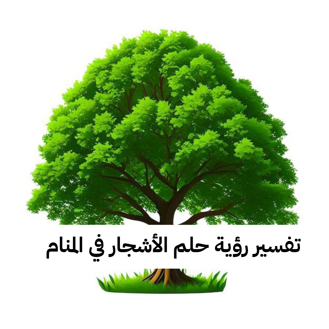 تفسير رؤية حلم الأشجار في المنام .. زواج قريب وإستقرار عاطفي