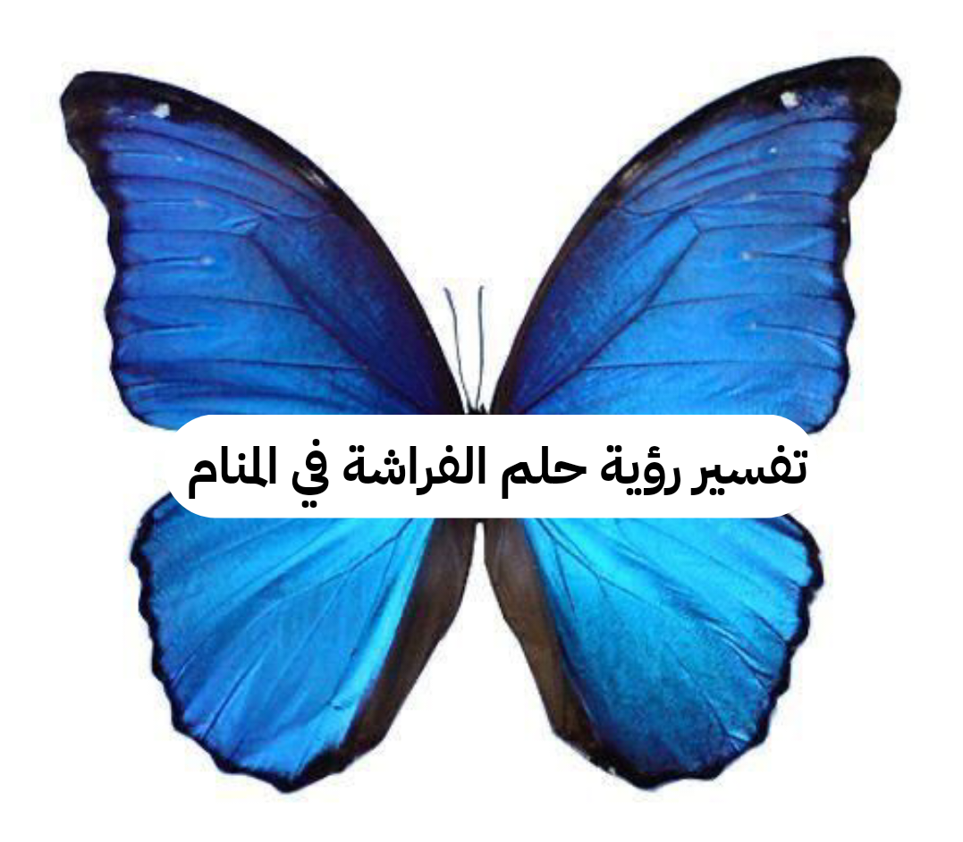 تفسير رؤية حلم الفراشة في المنام .. إنتهاء تعب الحمل وولادة بنت