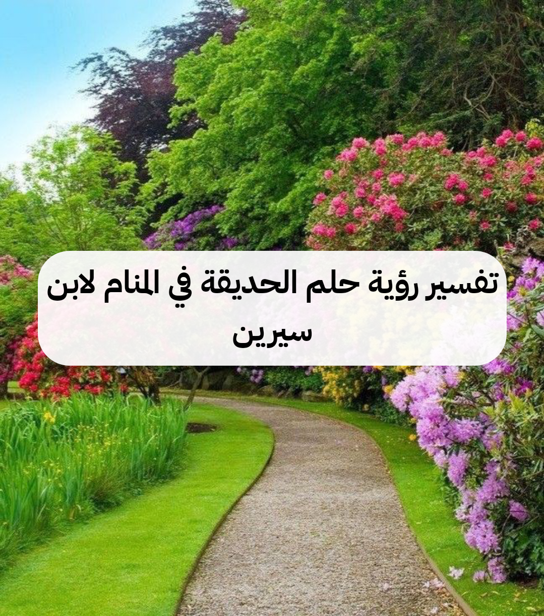 تفسير رؤية حلم الحديقة في المنام لابن سيرين .. فرحة وتقرب لله
