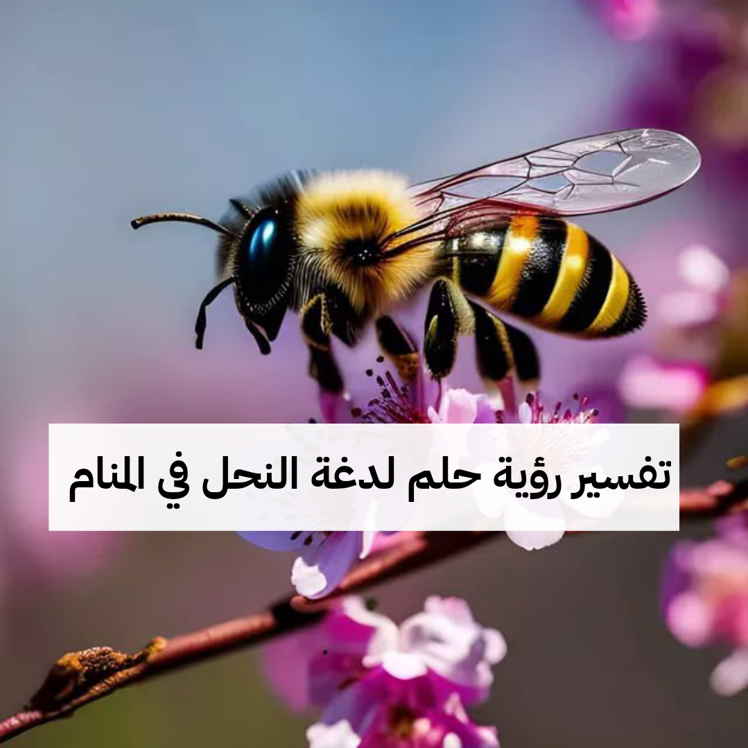تفسير رؤية حلم لدغة النحل في المنام .. زواج من فتاه جميلة