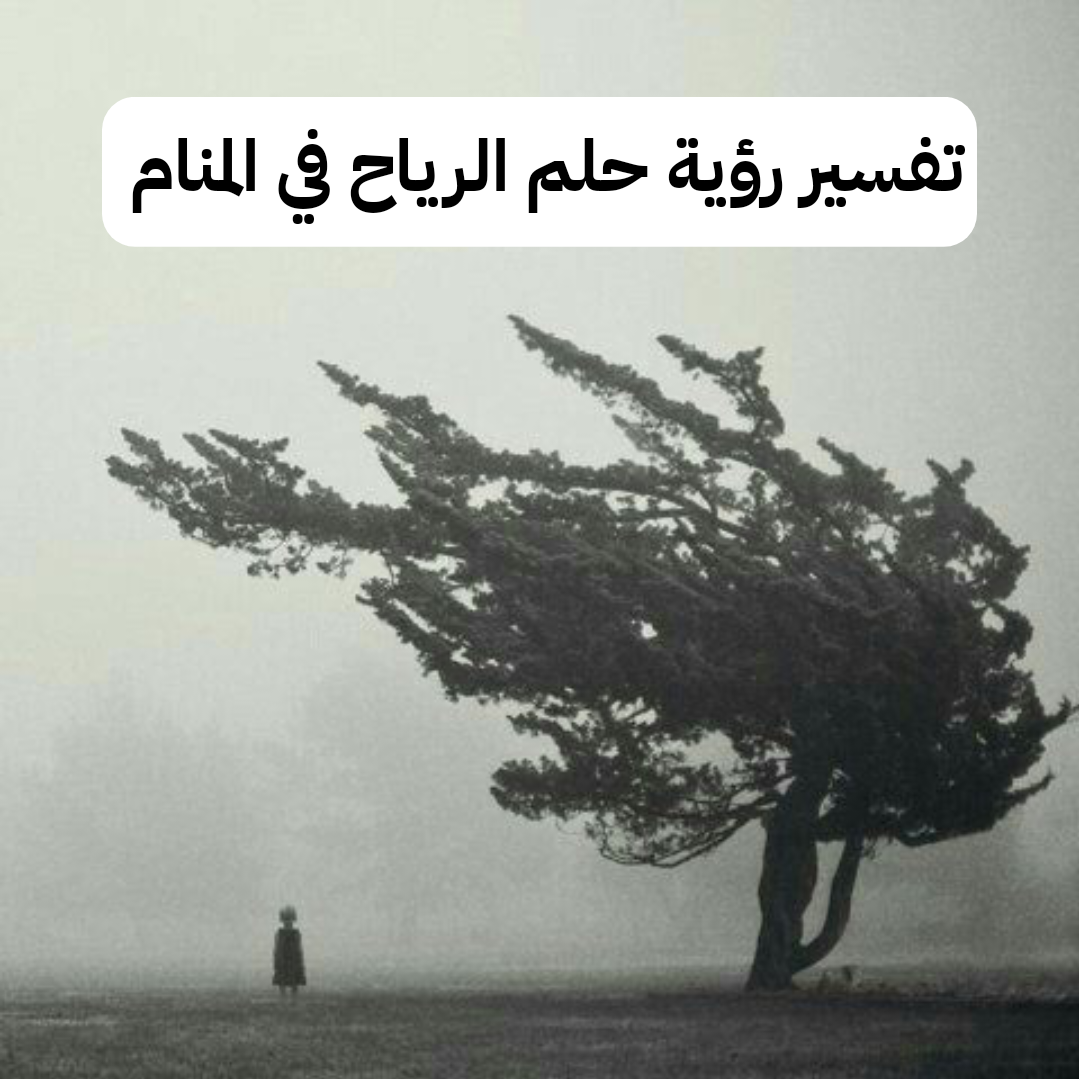 تفسير رؤية حلم الرياح في المنام .. إنتهاء المشاكل واستقرار