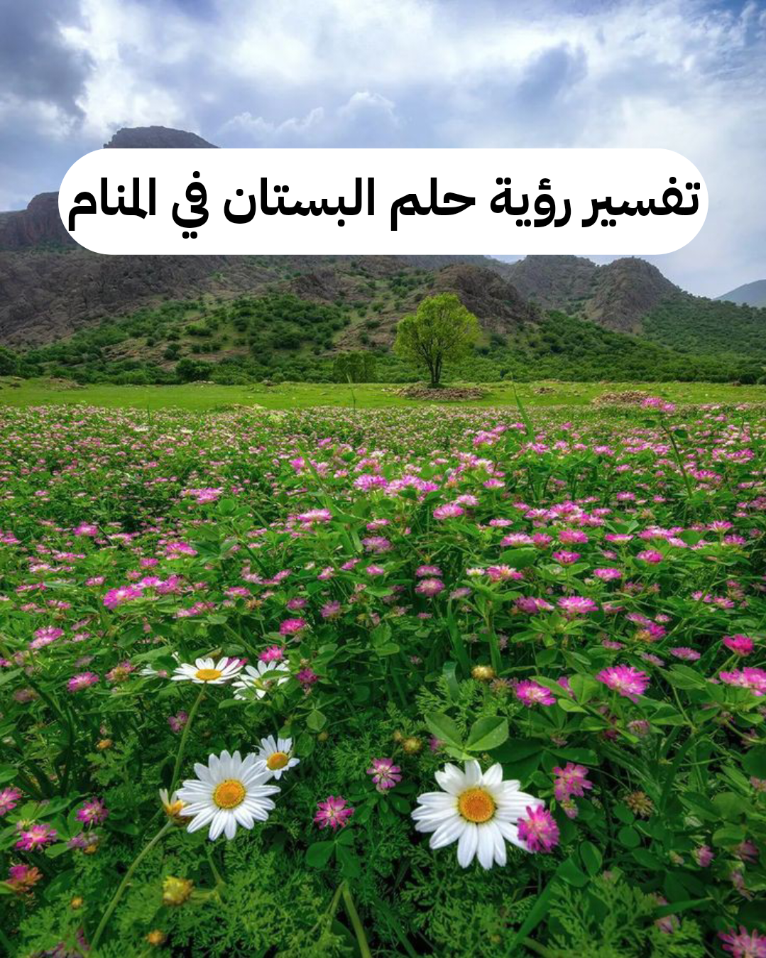 تفسير رؤية حلم البستان في المنام