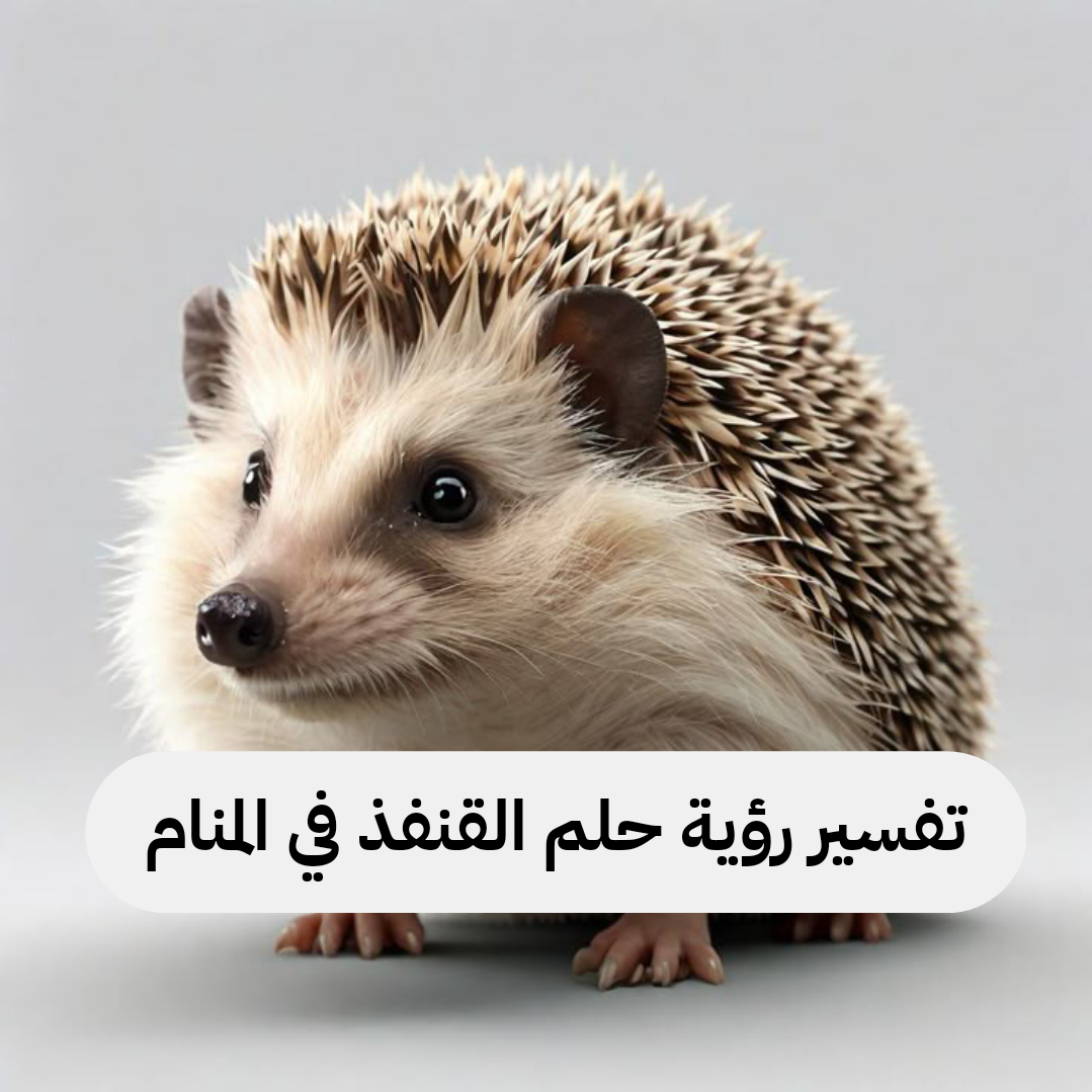 تفسير رؤية حلم القنفذ في المنام