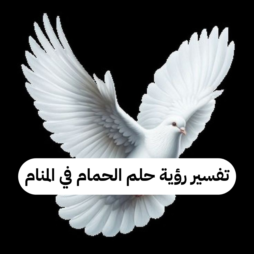 تفسير رؤية حلم الحمام في المنام