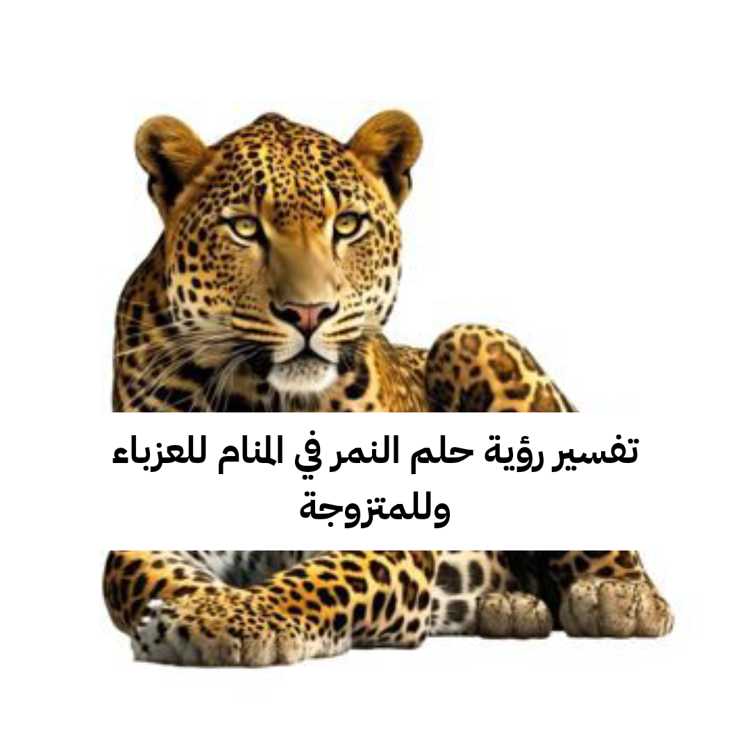 تفسير رؤية حلم النمر في المنام للعزباء وللمتزوجة