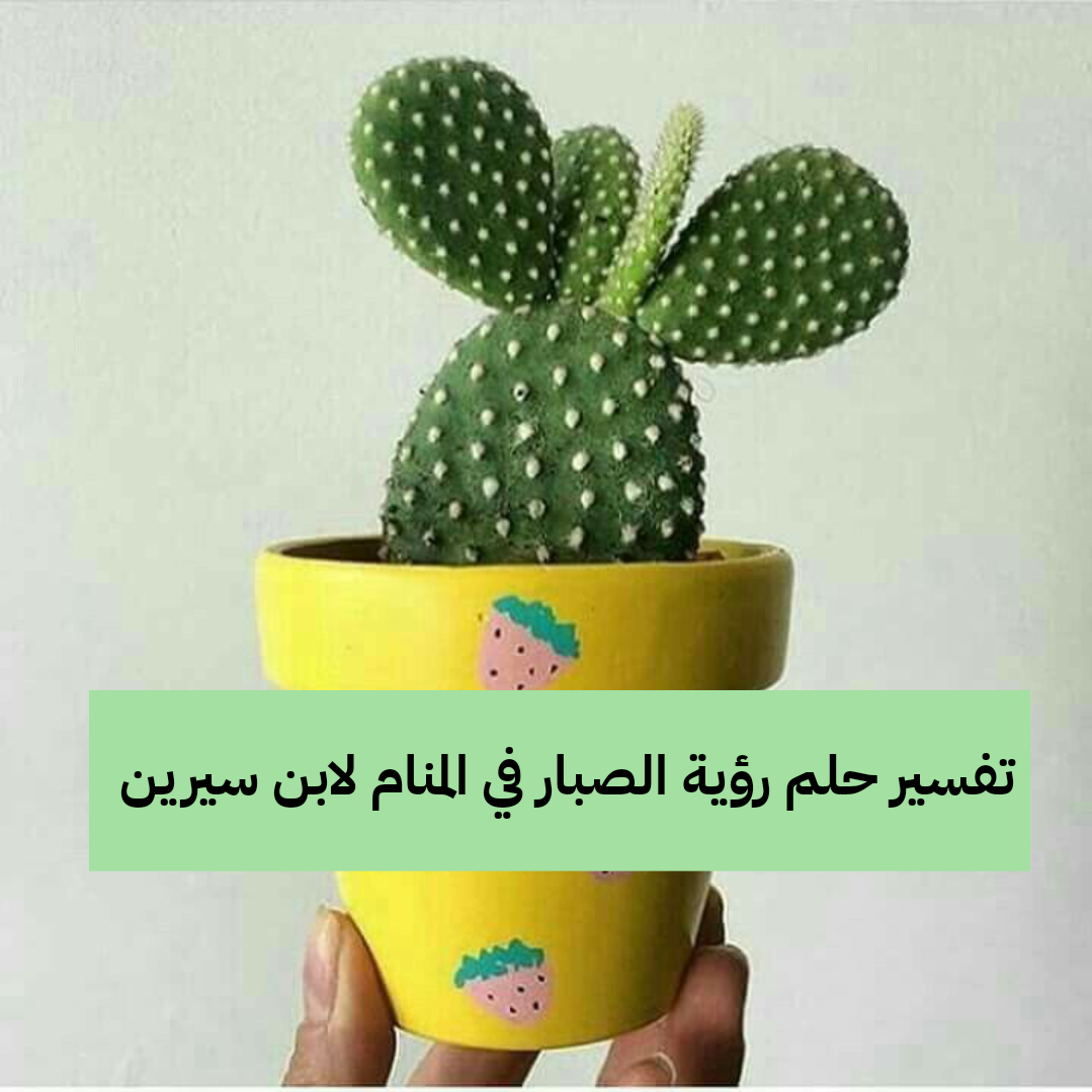 تفسير حلم رؤية الصبار في المنام لابن سيرين