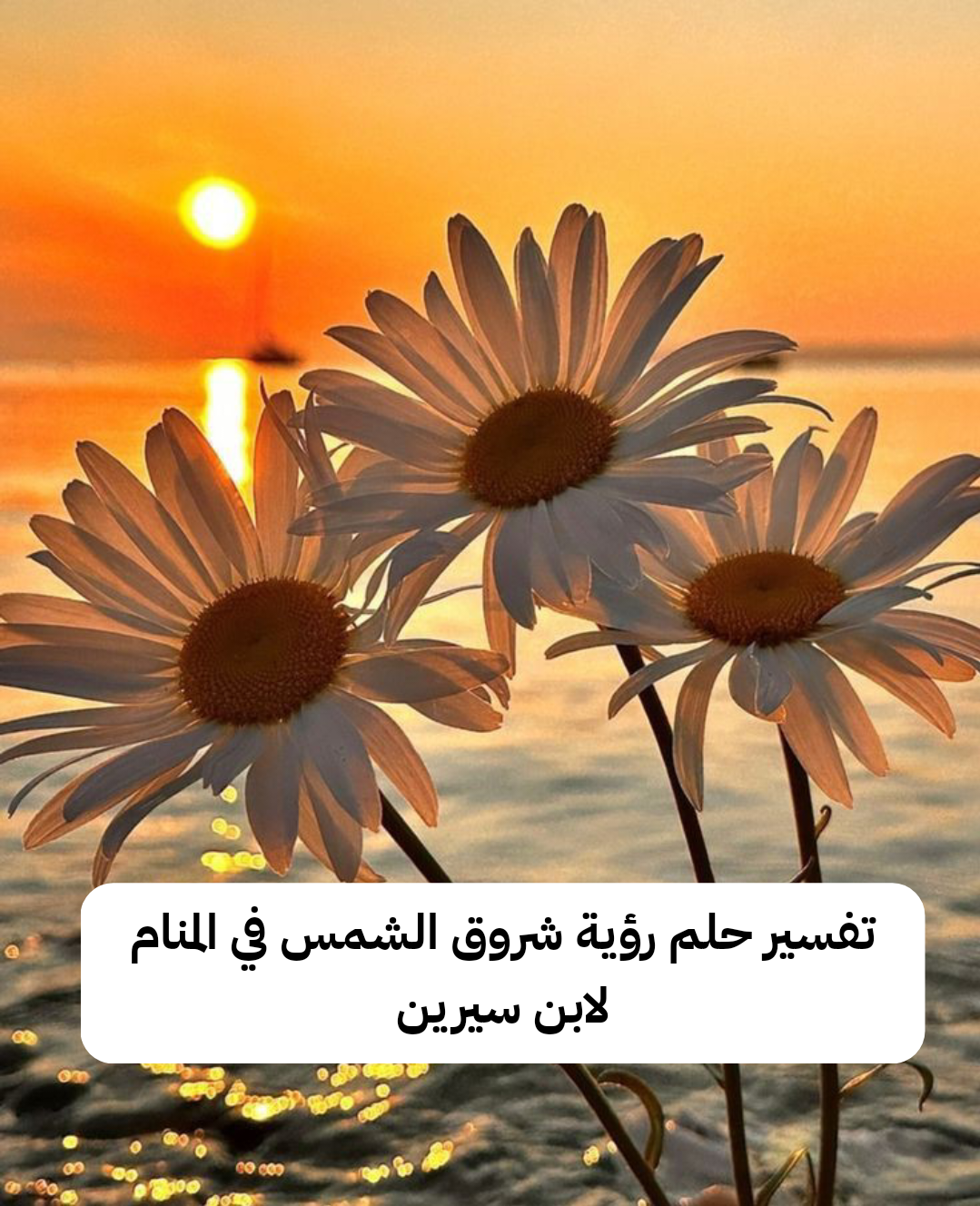 تفسير حلم رؤية شروق الشمس في المنام لابن سيرين