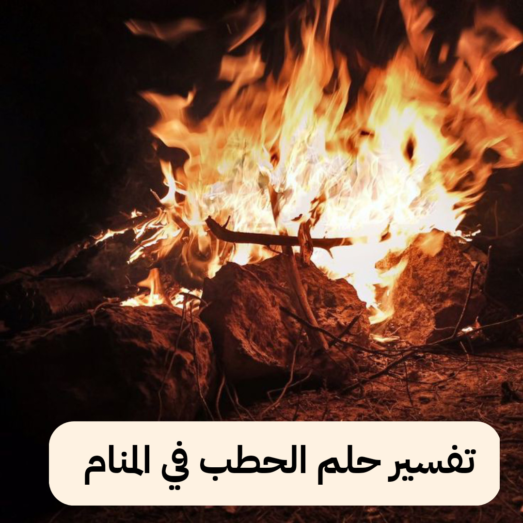 تفسير حلم الحطب في المنام – رمز رؤية الحطب في الحلم للعزباء