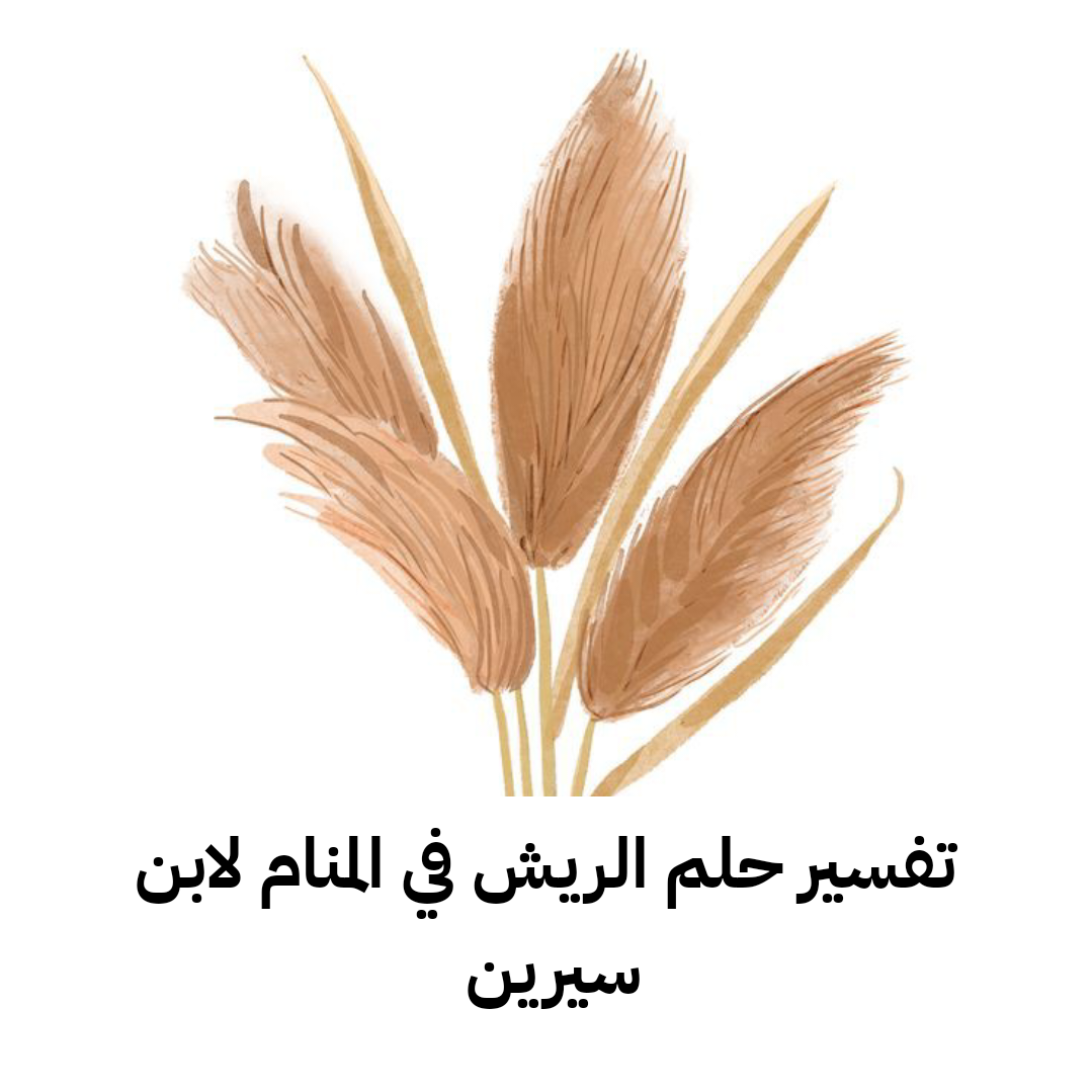 تفسير حلم الريش في المنام لابن سيرين – رمز رؤية الريش في الحلم