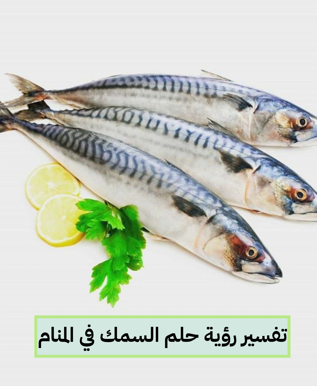 تفسير رؤية حلم السمك في المنام