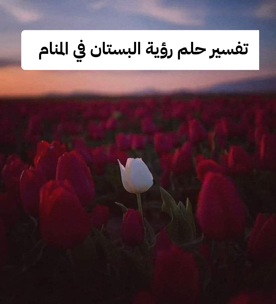 تفسير حلم رؤية البستان في المنام