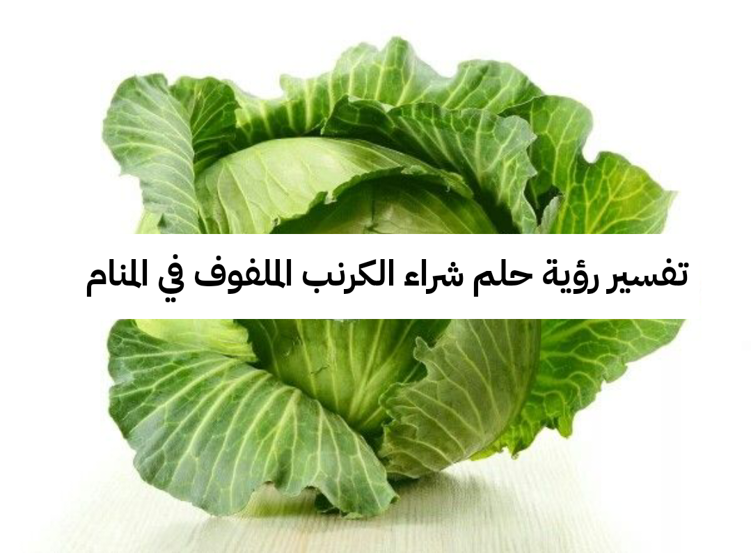 تفسير رؤية حلم شراء الكرنب الملفوف في المنام