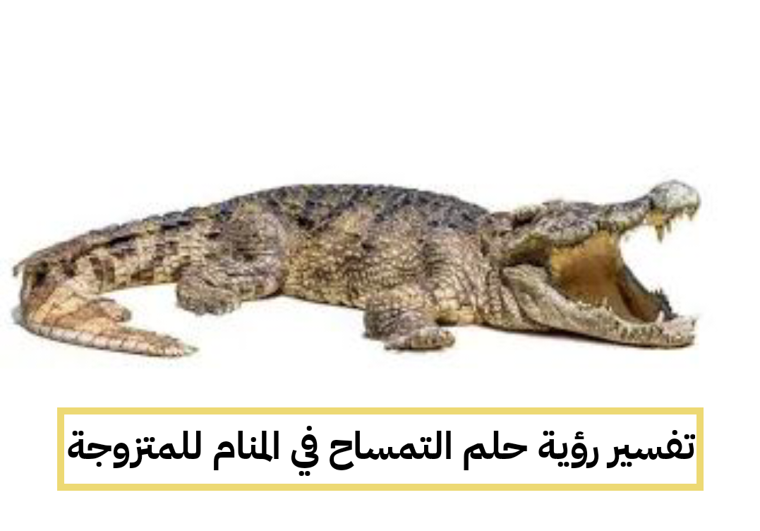 تفسير رؤية حلم التمساح في المنام للمتزوجة