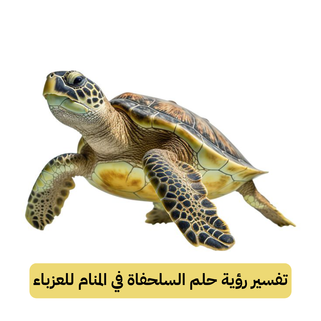 تفسير رؤية حلم السلحفاة في المنام للعزباء
