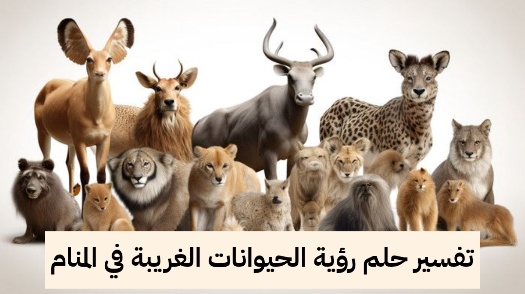 تفسير حلم رؤية الحيوانات الغريبة في المنام