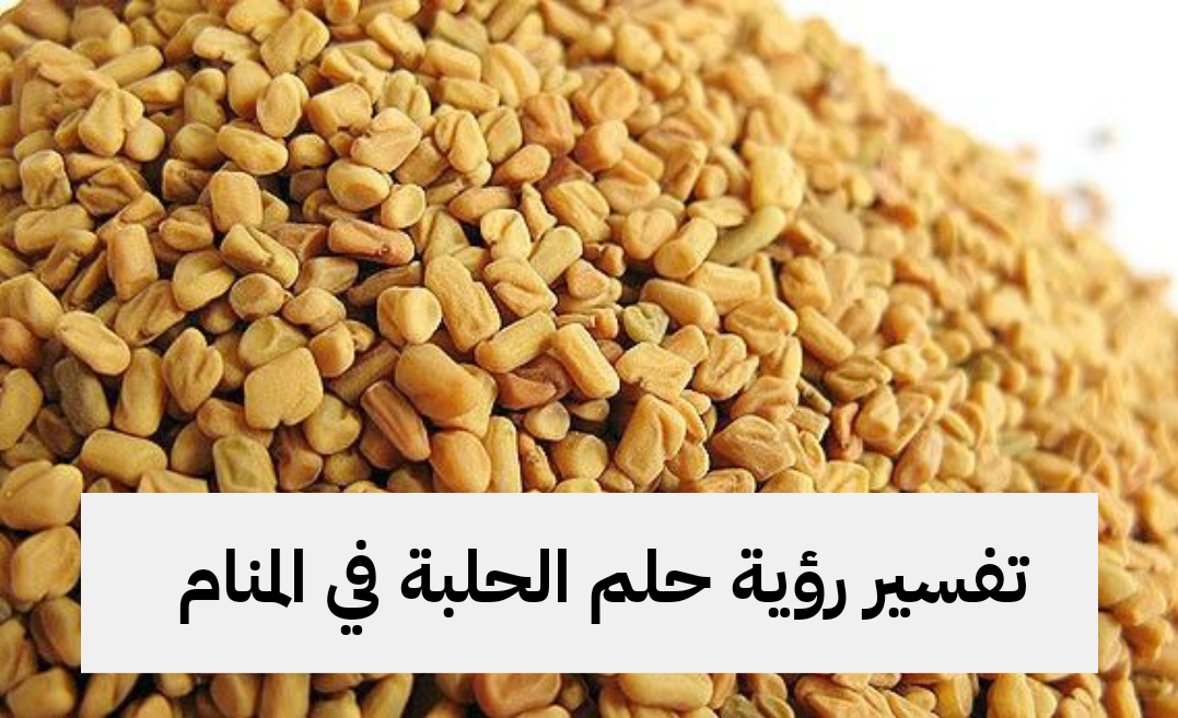 تفسير رؤية حلم الحلبة في المنام
