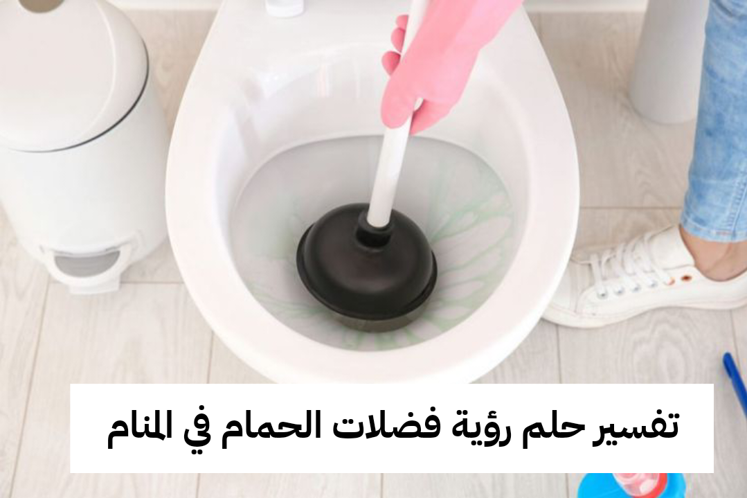 تفسير حلم رؤية فضلات الحمام في المنام