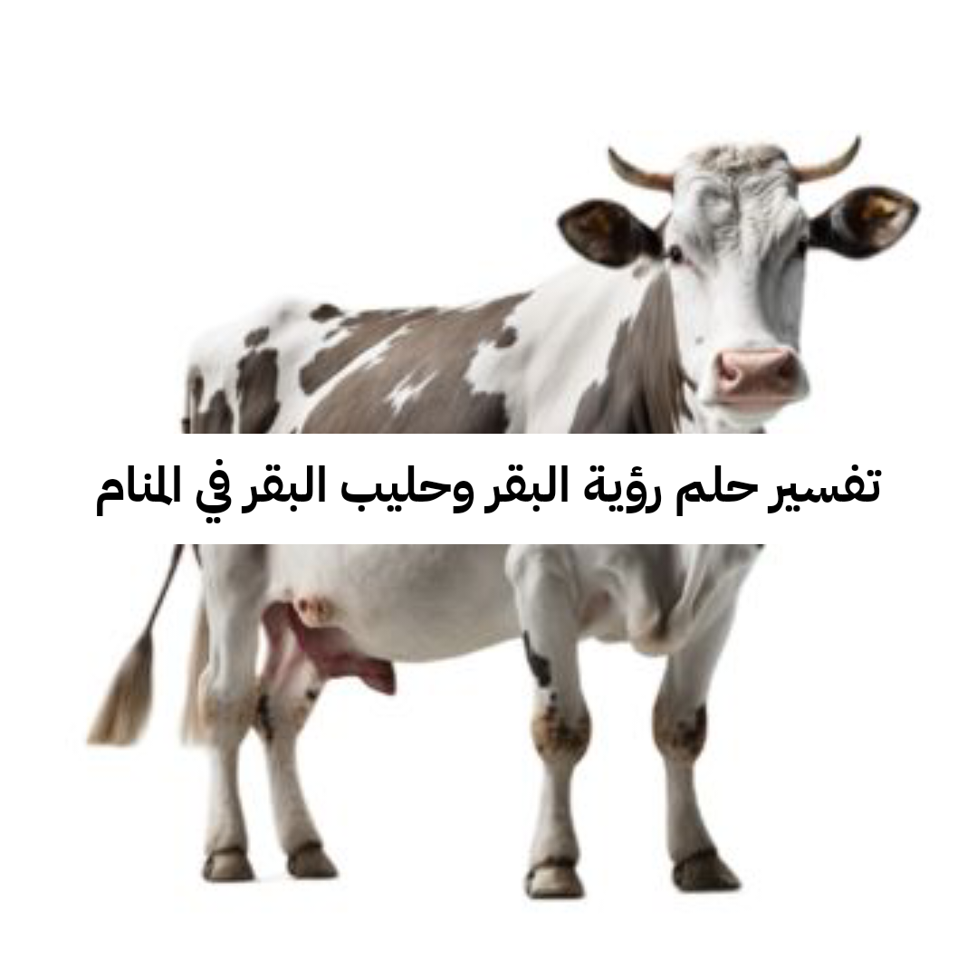 تفسير حلم رؤية البقر وحليب البقر في المنام