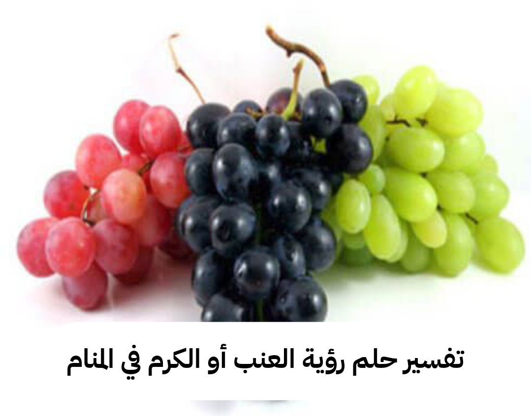 تفسير حلم رؤية العنب أو الكرم في المنام للعزباء والمتزوجة