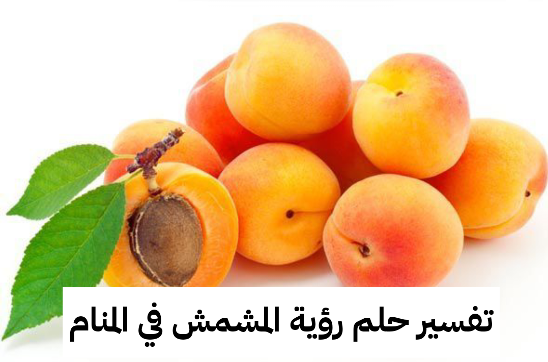 تفسير حلم رؤية المشمش في المنام للعزباء والمتزوجة