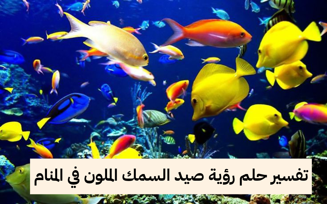 تفسير حلم رؤية صيد السمك الملون في المنام