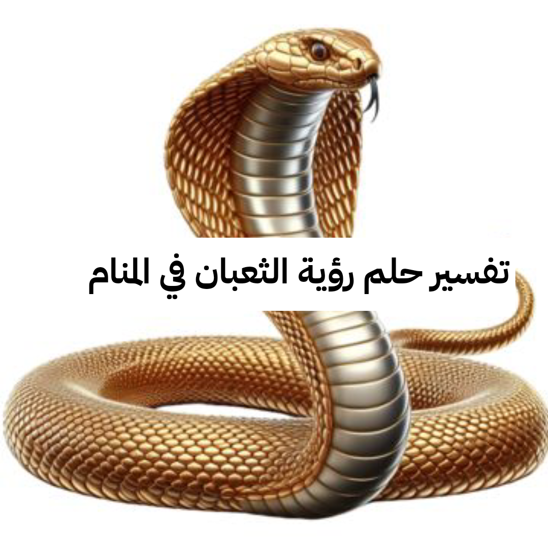 تفسير حلم رؤية الثعبان في المنام للمتزوجة بالتفصيل لابن سيرين – دلالات هجوم الثعابين في الحلم