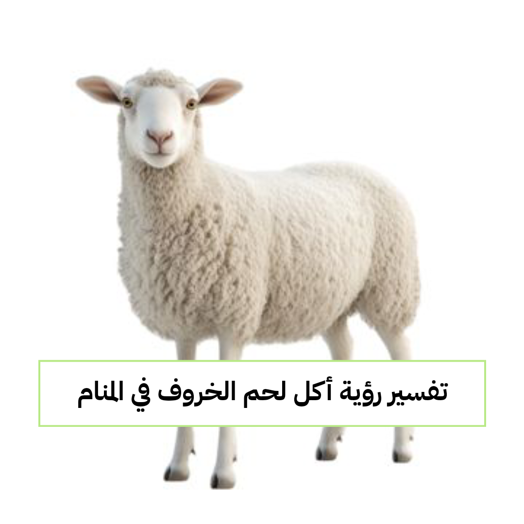 تفسير رؤية أكل لحم الخروف في المنام