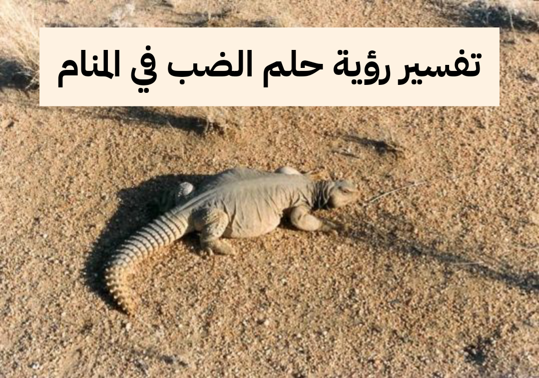 تفسير رؤية حلم الضب في المنام