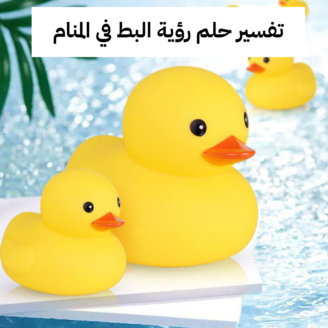 تفسير حلم رؤية البط في المنام للعزباء والمتزوجة