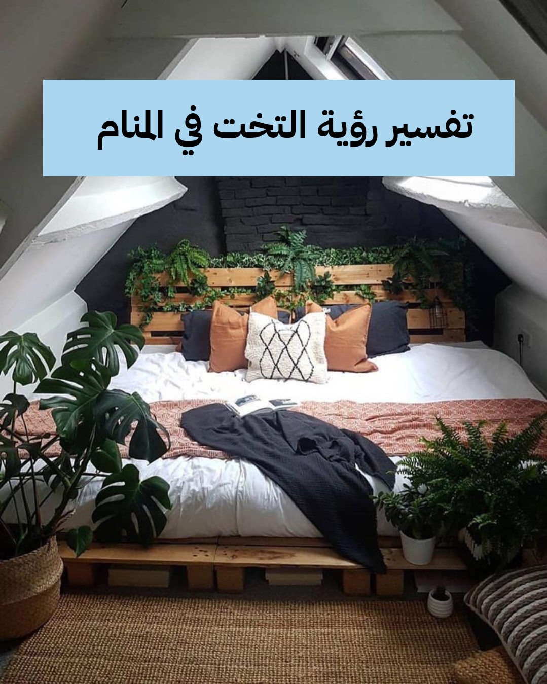 تفسير رؤية التخت في المنام