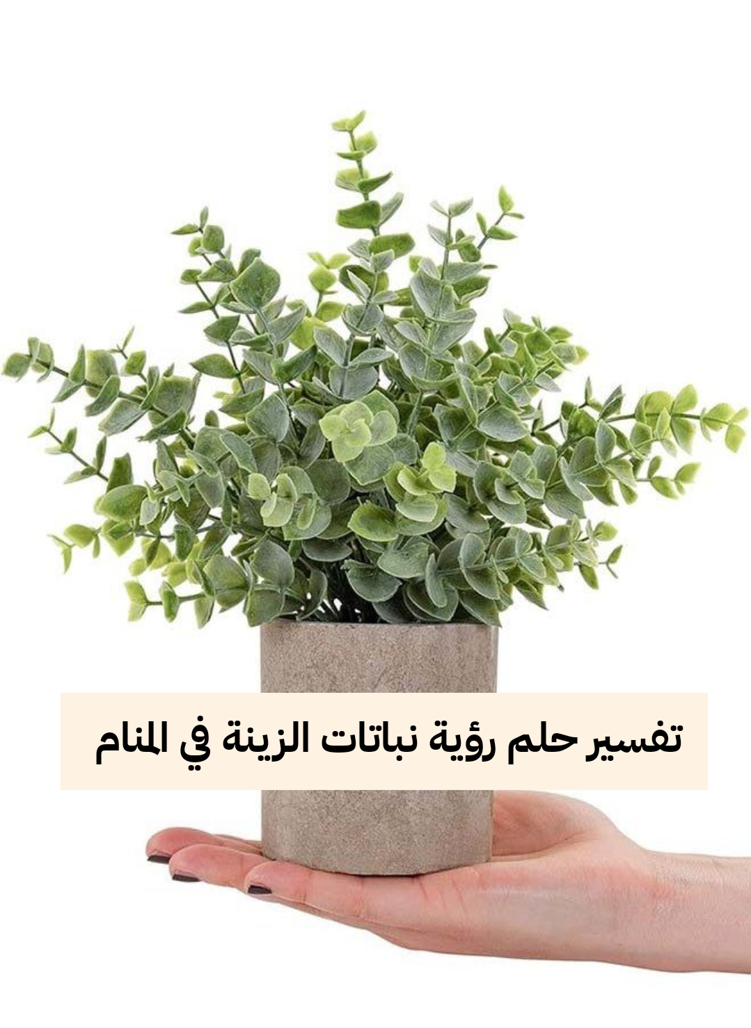 تفسير حلم رؤية نباتات الزينة في المنام