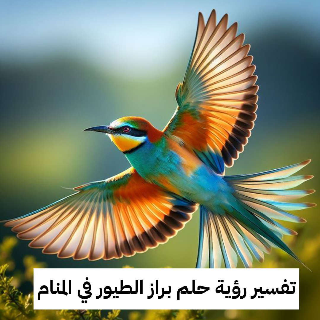 تفسير رؤية حلم براز الطيور في المنام للعزباء والمتزوجة