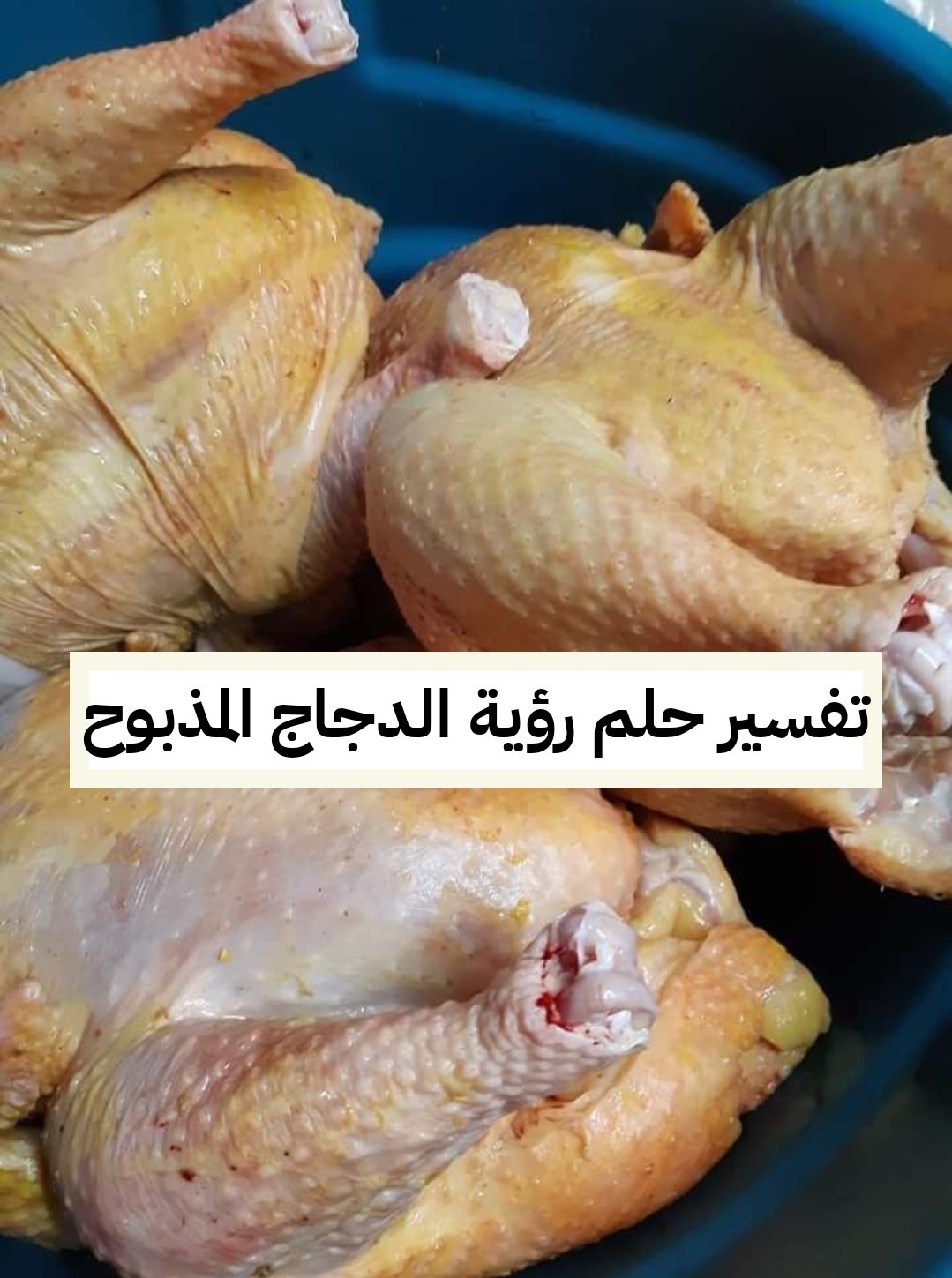 تفسير حلم رؤية الدجاج المذبوح والمنظف في المنام
