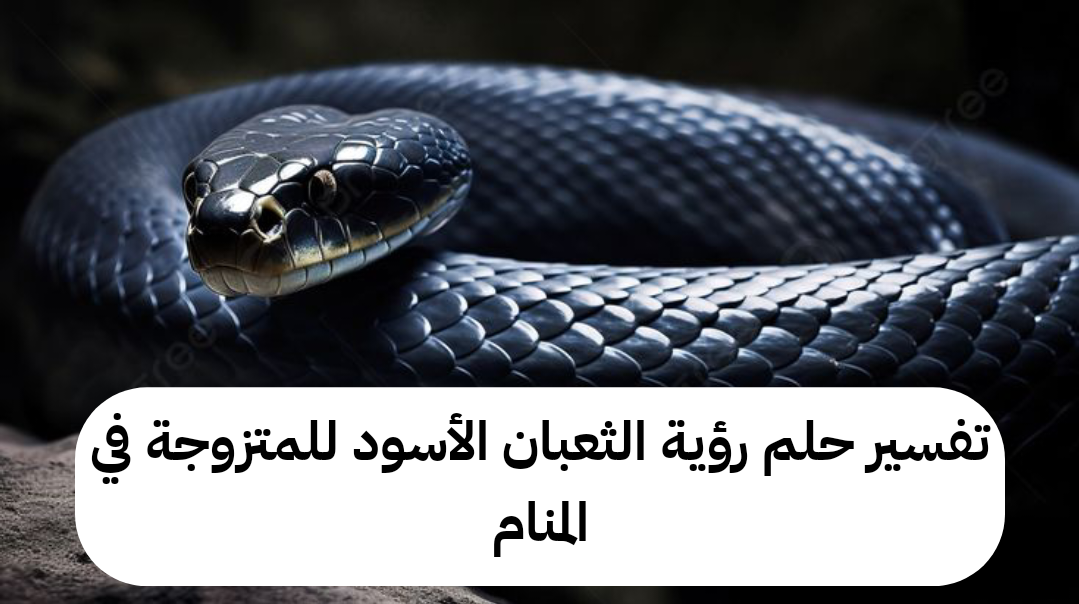 تفسير حلم رؤية الثعبان الأسود للمتزوجة في المنام
