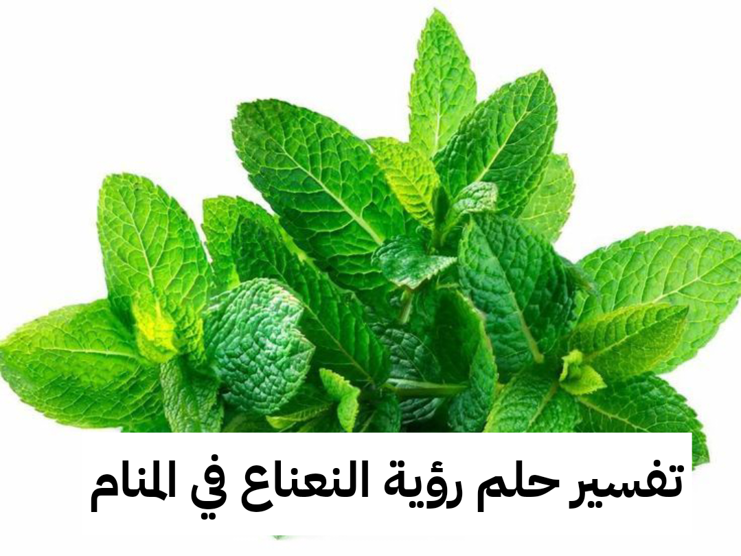 تفسير حلم رؤية النعناع في المنام