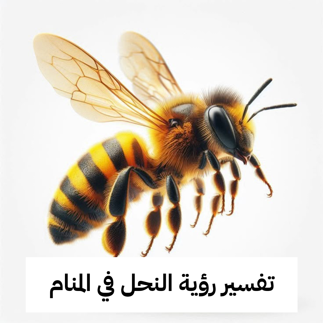 تفسير رؤية النحل في المنام